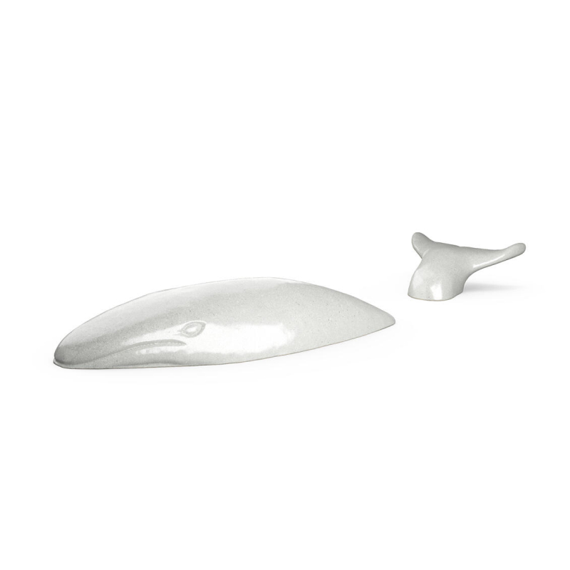 677996c789c565a4b17e21d9_Whale